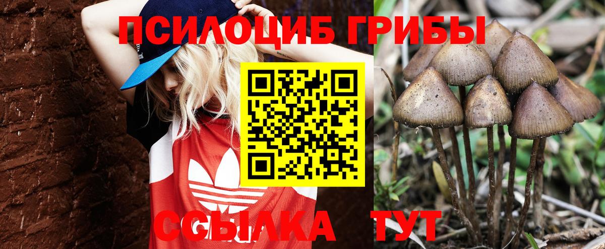 Галлюциногенные грибы MAGIC MUSHROOMS  Галлюциногенные грибы Psilocybe  Россошь  Вход с VPN 